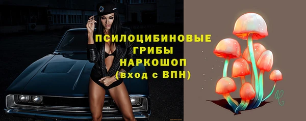 спайс Алзамай