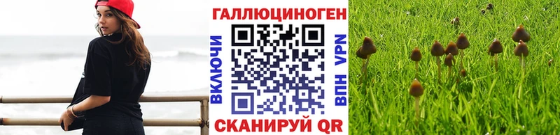Галлюциногенные грибы мицелий  Арск 